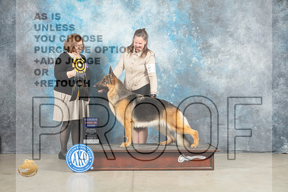 German Shepherd Dog #14 Fri RBIS Judge Elizabeth Muthard_MJ_1137_Midland2023_HR3
