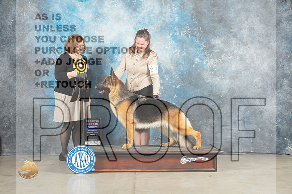 German Shepherd Dog #14 Fri RBIS Judge Elizabeth Muthard_MJ_1138_Midland2023_HR3