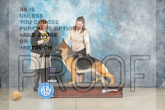 German Shepherd Dog #14 Fri RBIS Judge Elizabeth Muthard_MJ_1139_Midland2023_HR3