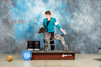 German Shorthaired Pointer #16 Fri BOSOHBOB Judge Donna O'Connell