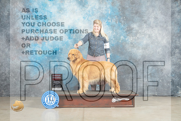 Golden Retriever #27 Fri G2 Judge Elizardo Valadez_MJ_1100_Midland2023_HR3