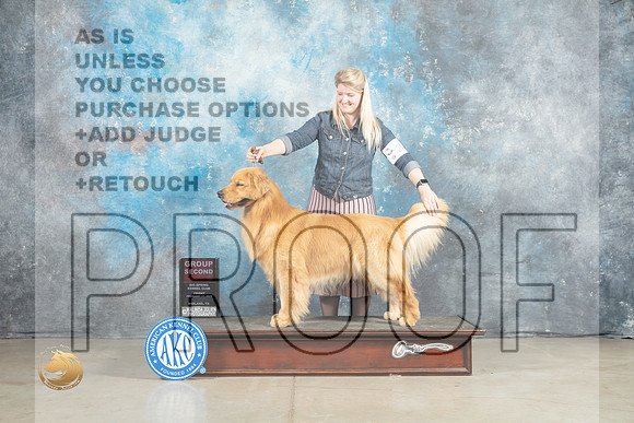 Golden Retriever #27 Fri G2 Judge Elizardo Valadez_MJ_1105_Midland2023_HR3