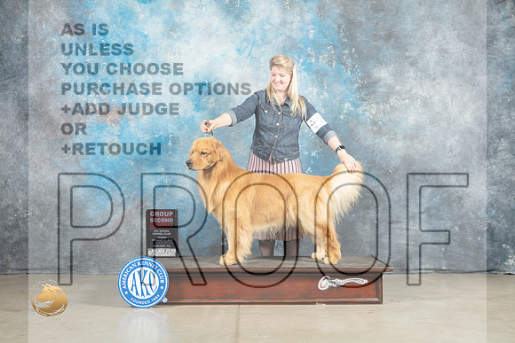 Golden Retriever #27 Fri G2 Judge Elizardo Valadez_MJ_1107_Midland2023_HR3