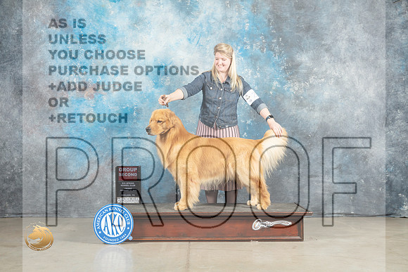 Golden Retriever #27 Fri G2 Judge Elizardo Valadez_MJ_1108_Midland2023_HR3