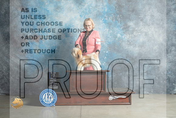 Havanese #20 Thurs BOWWB Judge Judith Brown_MJ_0730_Midland2023_HR3