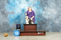 Havanese #5 Fri BOSWD Judge Judith Brown