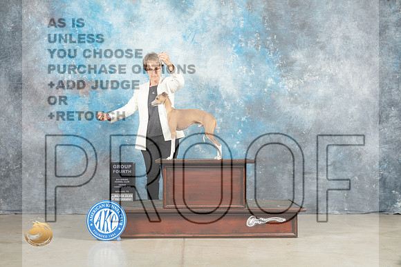 Italian Greyhound #5 fri G4 Judge Judith Brown_MJ_0929_Midland2023_HR3