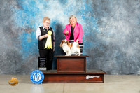 Japanese Chin #9 Fri G3 Judge Judith Brown