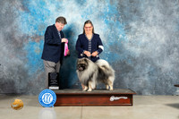 Keeshond #5 Fri OHG1 Judge Charles Olvis
