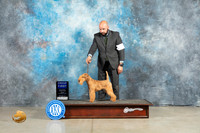 Lakeland Terrier #5 Fri G1 Judge Elizardo Valadez