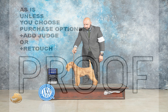 Lakeland Terrier #5 Fri G1 Judge Elizardo Valadez_MJ_1129_Midland2023_HR3
