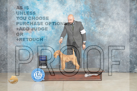 Lakeland Terrier #5 Fri G1 Judge Elizardo Valadez_MJ_1130_Midland2023_HR3