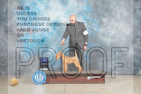 Lakeland Terrier #5 Fri G1 Judge Elizardo Valadez_MJ_1131_Midland2023_HR3