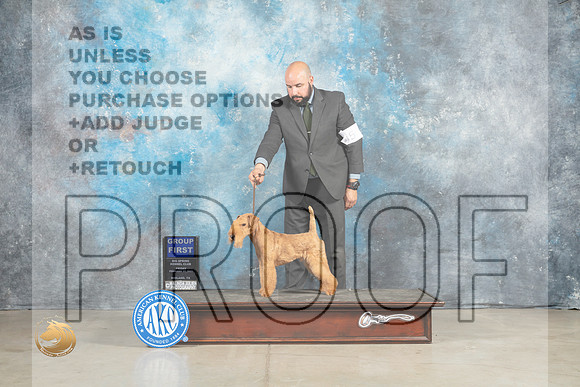 Lakeland Terrier #5 Fri G1 Judge Elizardo Valadez_MJ_1132_Midland2023_HR3