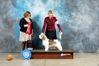 PBGV #5 Fri G2 Judge Elizabeth Muthard