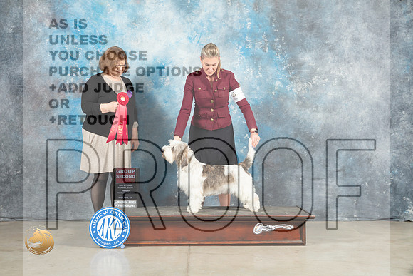PBGV #5 Fri G2 Judge Elizabeth Muthard _MJ_0924_Midland2023_HR3