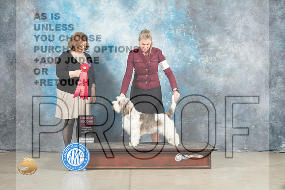 PBGV #5 Fri G2 Judge Elizabeth Muthard _MJ_0925_Midland2023_HR3