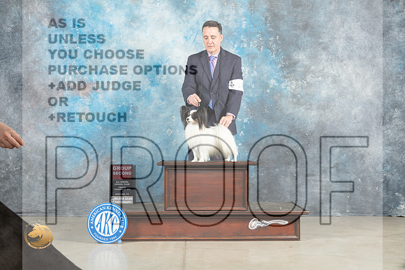 Papillon #17 Fri G2 Judge Judith Brown_MJ_0911_Midland2023_HR3