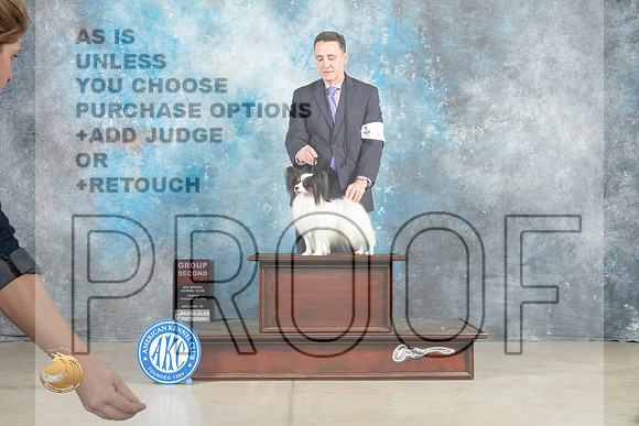 Papillon #17 Fri G2 Judge Judith Brown_MJ_0912_Midland2023_HR3