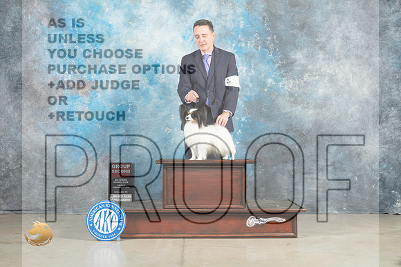 Papillon #17 Fri G2 Judge Judith Brown_MJ_0913_Midland2023_HR3