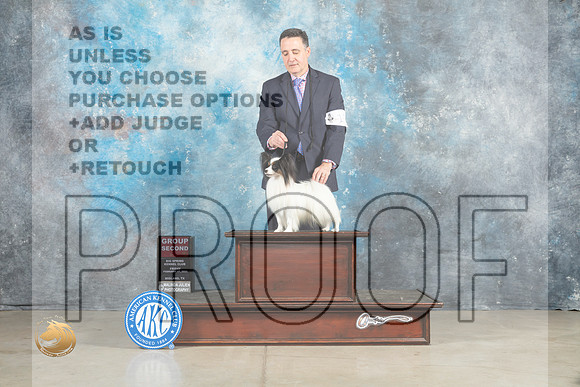 Papillon #17 Fri G2 Judge Judith Brown_MJ_0914_Midland2023_HR3