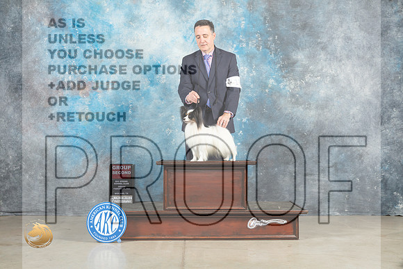Papillon #17 Fri G2 Judge Judith Brown_MJ_0915_Midland2023_HR3
