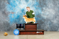 Pembroke Welsh Corgi #12 Fri BOBWB Judge Elizardo Valadez