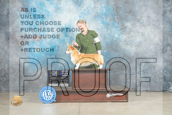 Pembroke Welsh Corgi #12 Fri BOBWB Judge Elizardo Valadez_MJ_1117_Midland2023_HR3