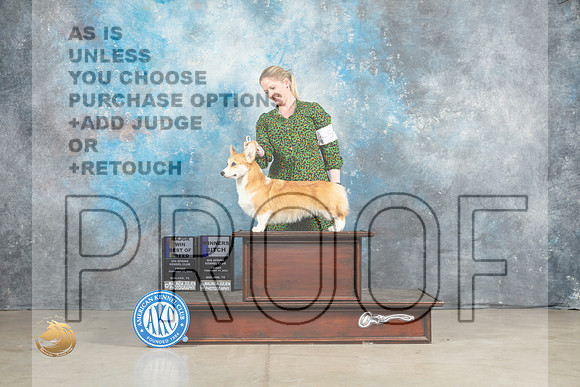 Pembroke Welsh Corgi #12 Fri BOBWB Judge Elizardo Valadez_MJ_1120_Midland2023_HR3
