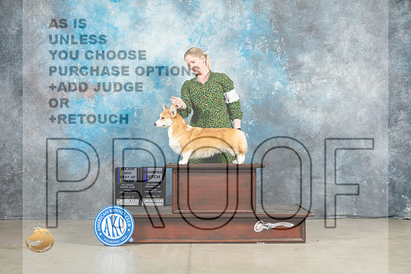 Pembroke Welsh Corgi #12 Fri BOBWB Judge Elizardo Valadez_MJ_1122_Midland2023_HR3