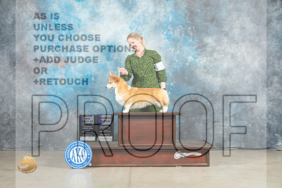 Pembroke Welsh Corgi #12 Fri BOBWB Judge Elizardo Valadez_MJ_1123_Midland2023_HR3