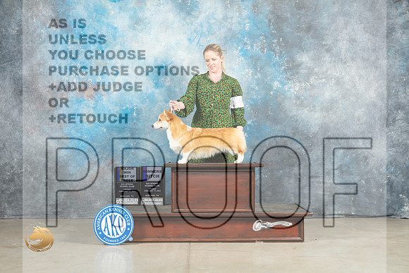 Pembroke Welsh Corgi #12 Fri BOBWB Judge Elizardo Valadez_MJ_1126_Midland2023_HR3
