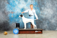Pointer #12 Fri G4 Judge Elizardo Valadez