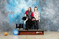 Portuguese Water Dog #9 Fri WD Judge Charles Olvis