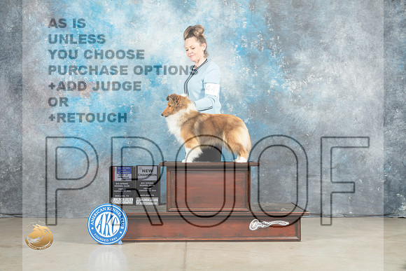 Shetland Sheepdog #44 Fri BOSBOWWBM Judge Elizardo Valadez_MJ_0854_Midland2023_HR3