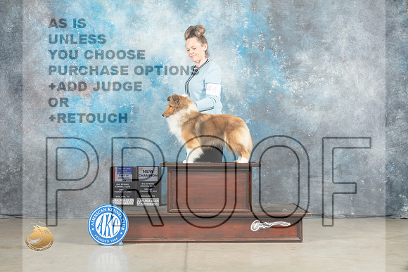 Shetland Sheepdog #44 Fri BOSBOWWBM Judge Elizardo Valadez_MJ_0855_Midland2023_HR3