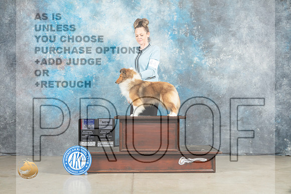 Shetland Sheepdog #44 Fri BOSBOWWBM Judge Elizardo Valadez_MJ_0858_Midland2023_HR3