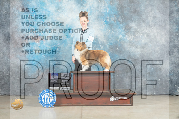 Shetland Sheepdog #44 Fri BOSBOWWBM Judge Elizardo Valadez_MJ_0859_Midland2023_HR3