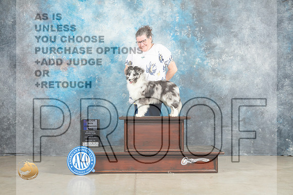 Shetland Sheepdog #7 Fri WDM Judge Elizardo Valadez_MJ_1077_Midland2023_HR3