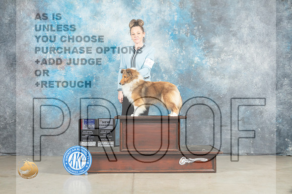 Shetland Sheepdog #44 Fri BOSBOWWBM Judge Elizardo Valadez_MJ_0863_Midland2023_HR3