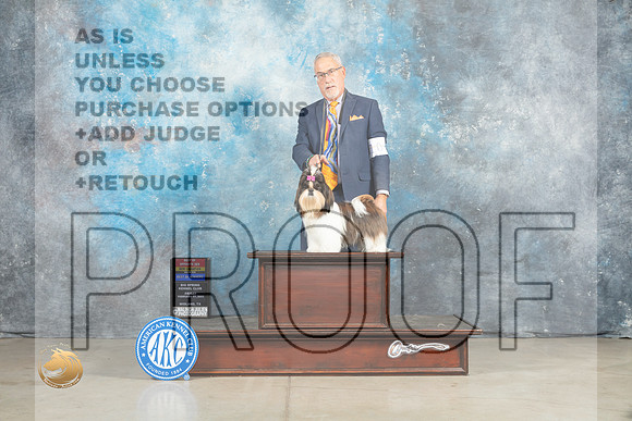 Shih Tzu #10 Fri BOWBOSMCh Judge Jon Cole_MJ_0830_Midland2023_HR3