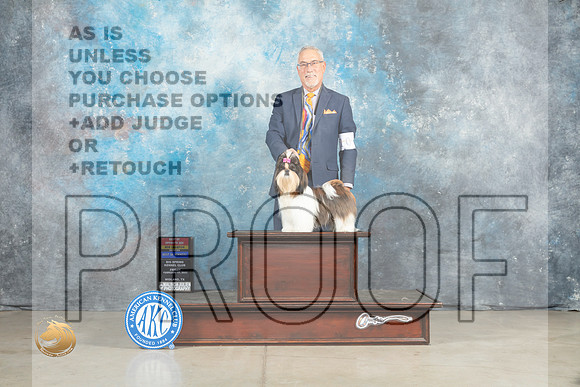 Shih Tzu #10 Fri BOWBOSMCh Judge Jon Cole_MJ_0834_Midland2023_HR3