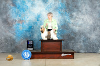 Shih Tzu #7 Fri WDM Judge Jon Cole