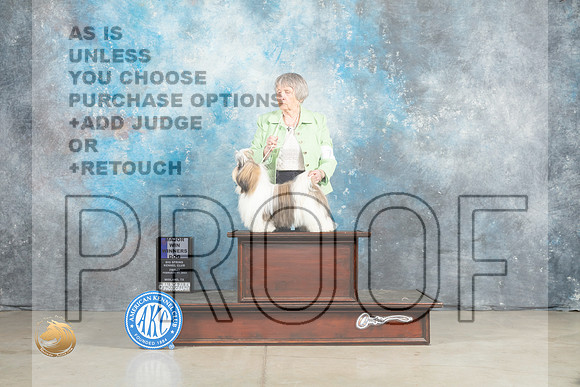 Shih Tzu #7 Fri WDM Judge Jon Cole_MJ_0839_Midland2023_HR3