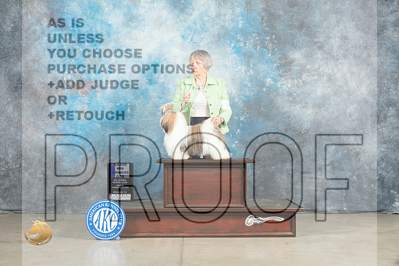 Shih Tzu #7 Fri WDM Judge Jon Cole_MJ_0840_Midland2023_HR3