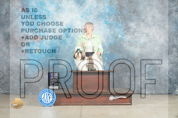 Shih Tzu #7 Fri WDM Judge Jon Cole_MJ_0841_Midland2023_HR3