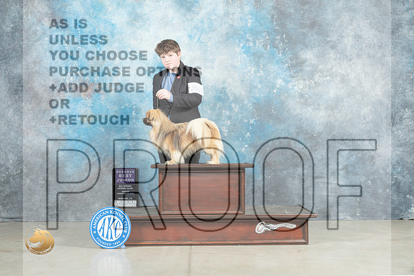 Tibetan Spaniel #J500 Fri RBJr Judge Donna O'Connell_MJ_0811_Midland2023_HR3