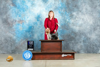 Yorkshire Terrier #24 Fri WBM Judge Judith Brown