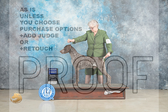 German Shorthaired Pointer #5 Fri G1 Judge Elizardo Valadez_MJ_1163_Midland2023_HR3