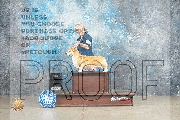 Pembroke Welsh Corgi #8 Fri OHRBIS Judge Elizardo Valadez_MJ_1182_Midland2023_HR3